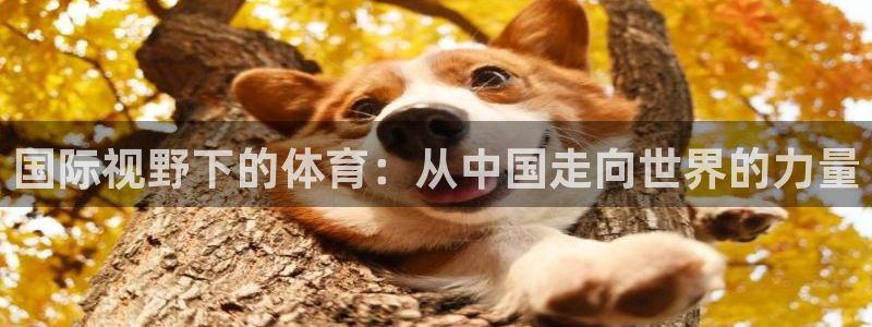 77体育