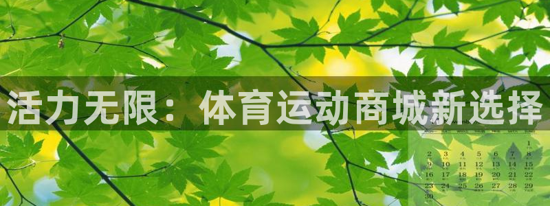 77体育：活力无限：体育运动商城新选择