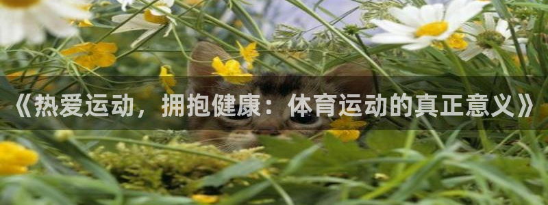 皇冠277体育