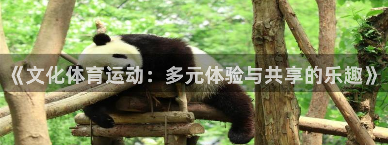 皇冠277体育：《文化体育运动：多元体验与共享的乐趣》