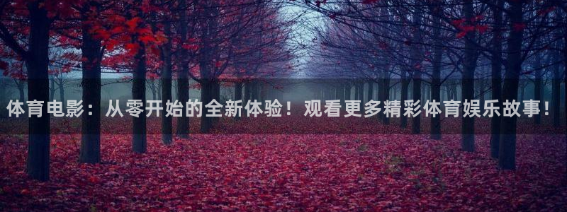 77体育app下载官网