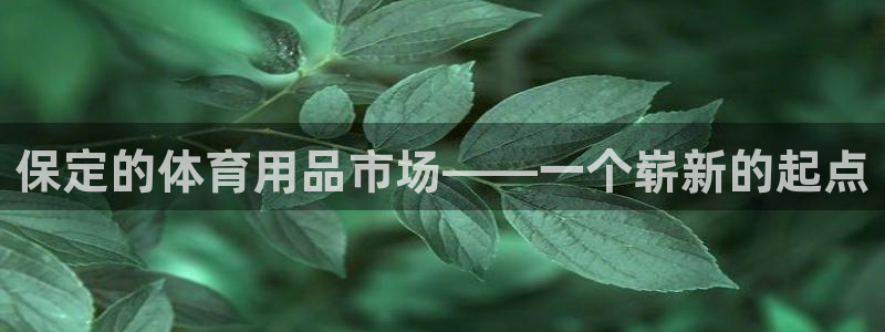 皇冠277体育：保定的体育用品市场——一个崭新的起点