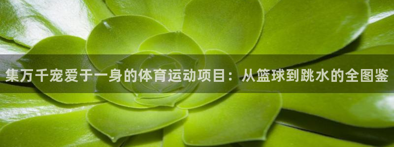 77体育：集万千宠爱于一身的体育运动项目：从篮球到跳水的全图鉴