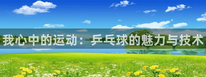 77体育官网：我心中的运动：乒乓球的魅力与技术